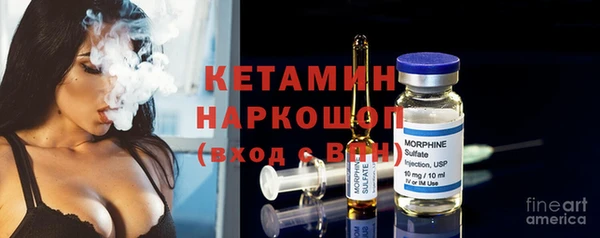 мдпв Ельня